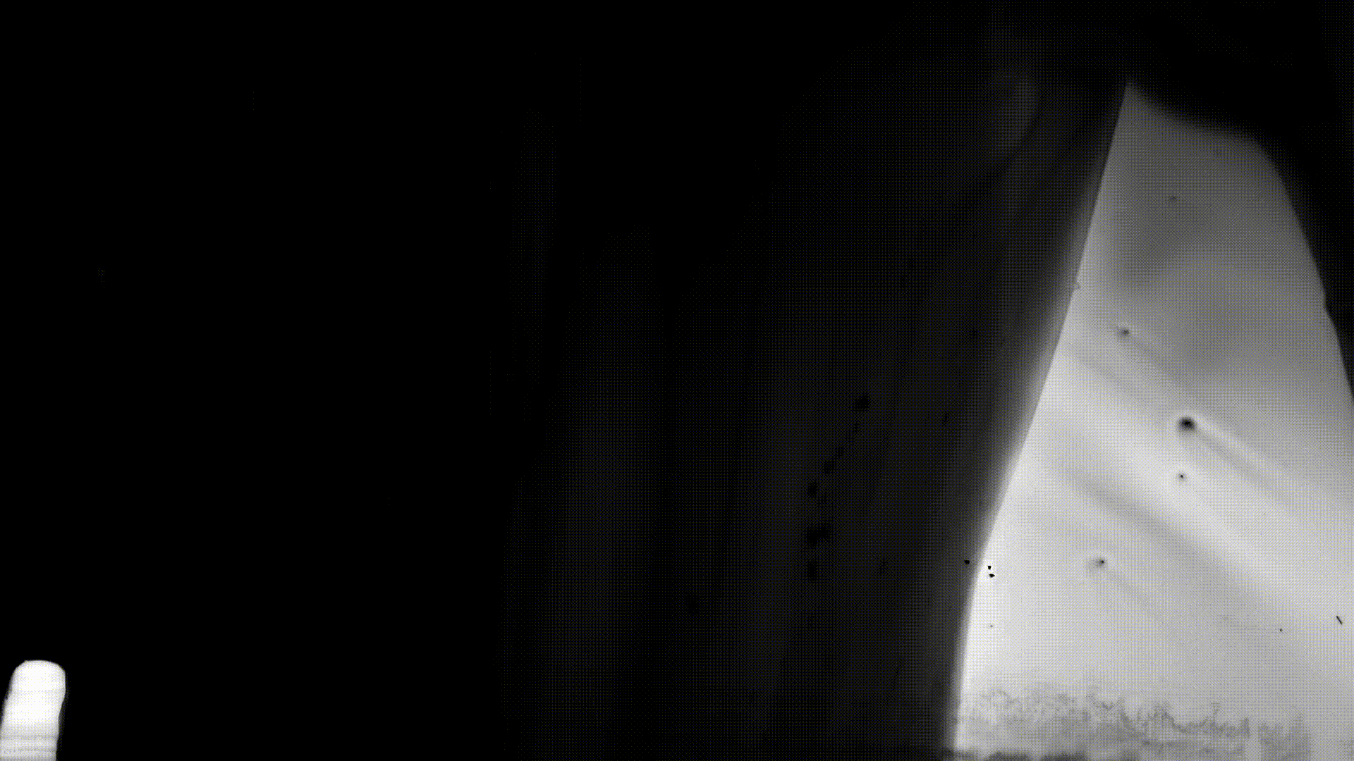 Voyeur 2 preview